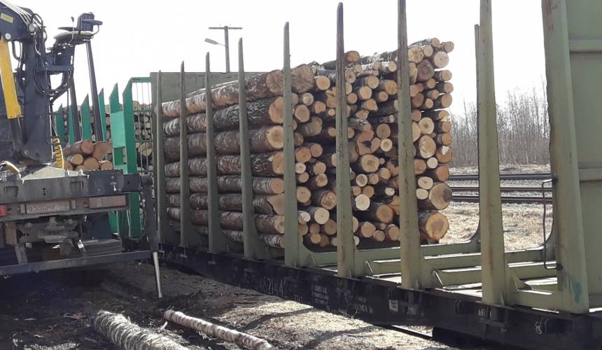 Tender na prepravu dreva do MSCP